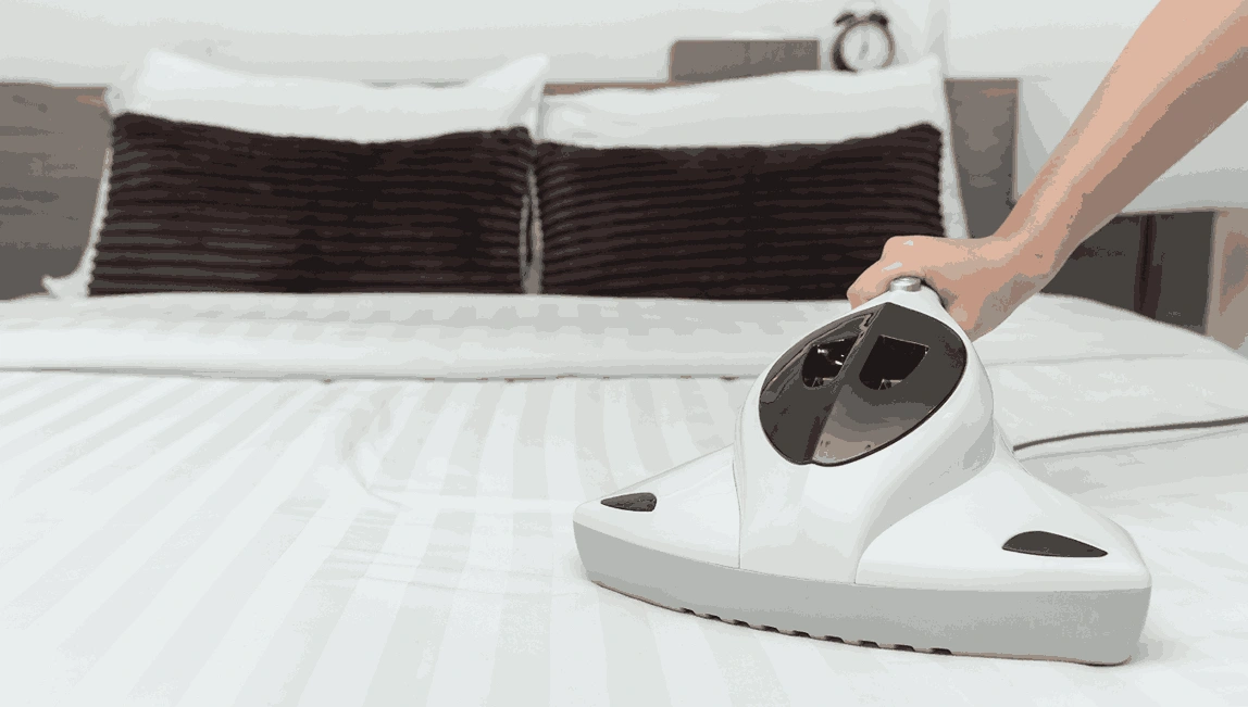 Professional Mattress Cleaning Cremorne